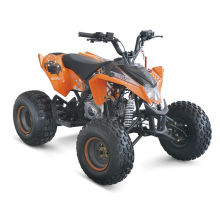 110CC ATV KIDS QUAD ENGINE FROM BULL